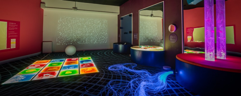 children's museum verona