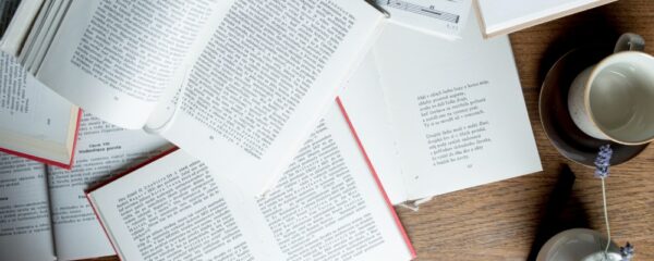 Insegnare poesia. Un progetto didattico