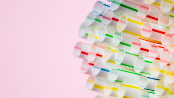 Il Censimento permanente sui banchi di scuola