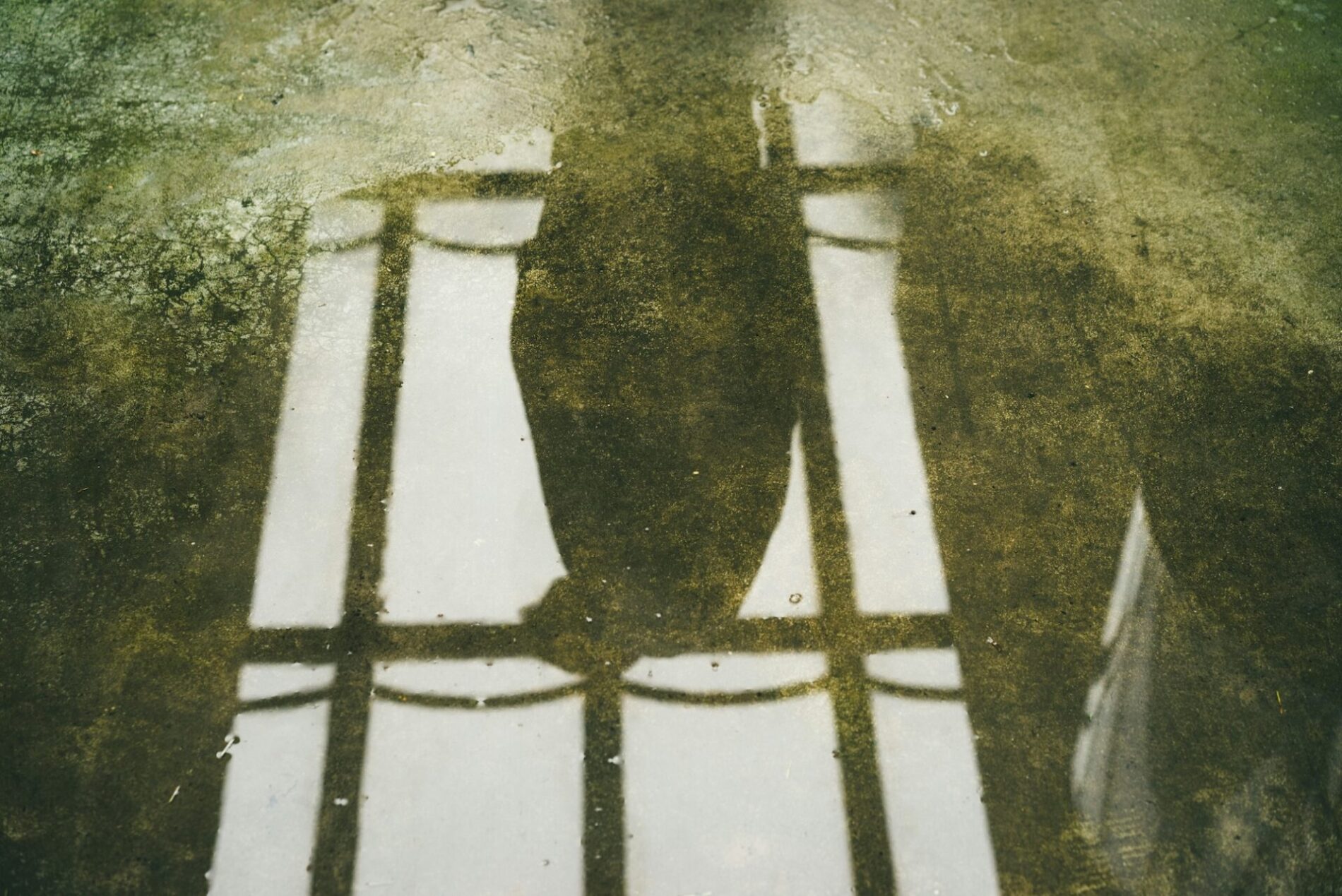 22Una femmina22 un film per parlare di mafia donne e coraggio foto di Ehud Neuhaus su Unsplash