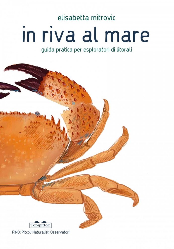 In riva al mare. Guida pratica per esploratori di litorali