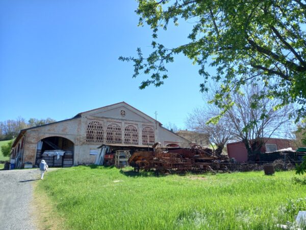 Al Museo Ettore Guatelli cover