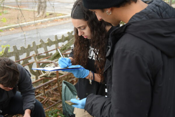 Donne e discipline STEAM: la scienza e il femminismo