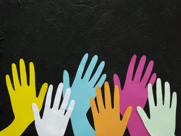 Flavio Fogarolo le norme che regolano linclusione