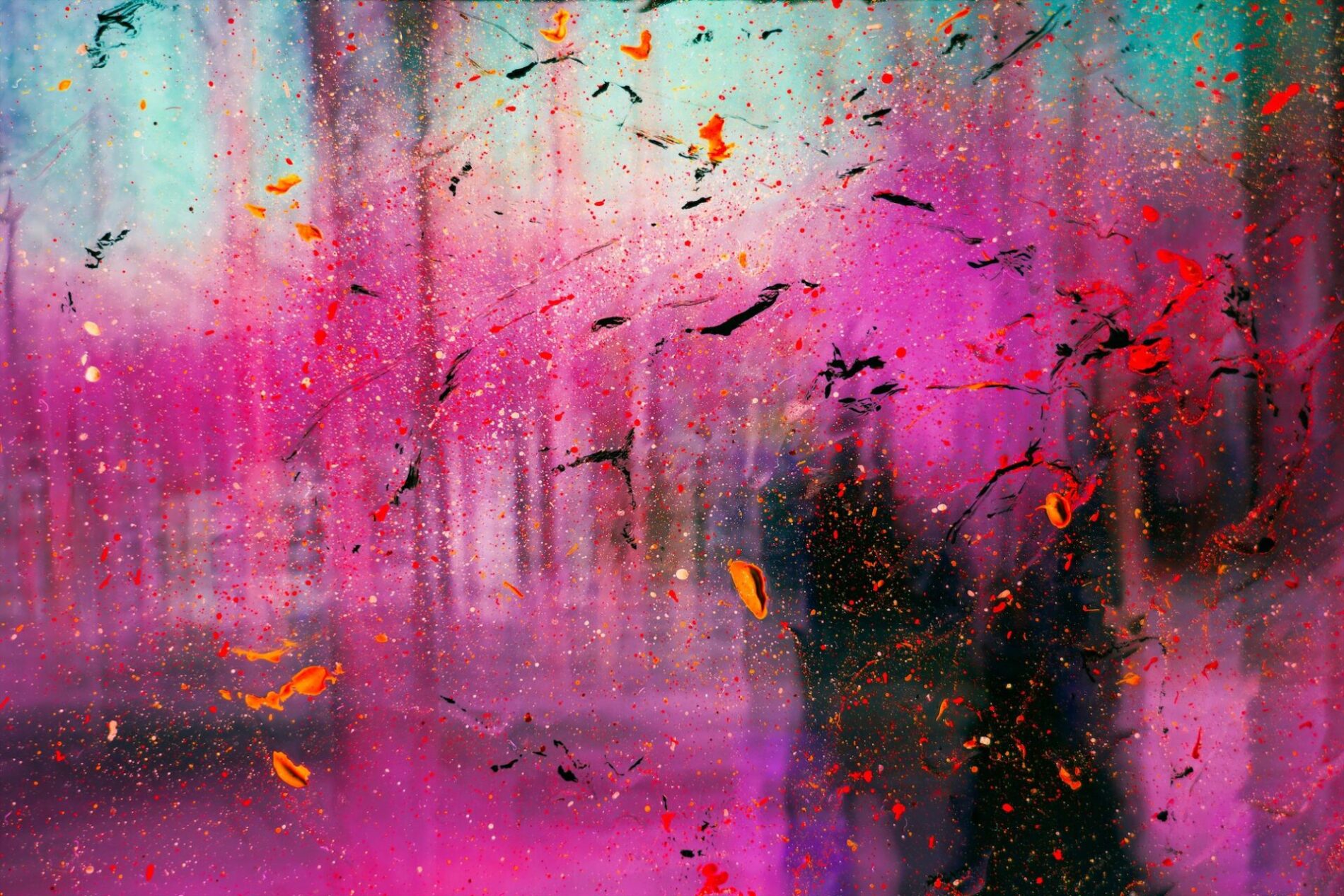 Foto di Jr Korpa su Unsplash