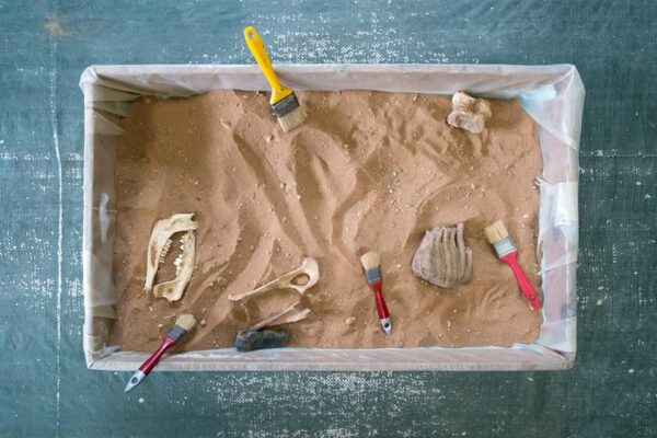 Indietro nel tempo il Museo Geologico Gemmellaro