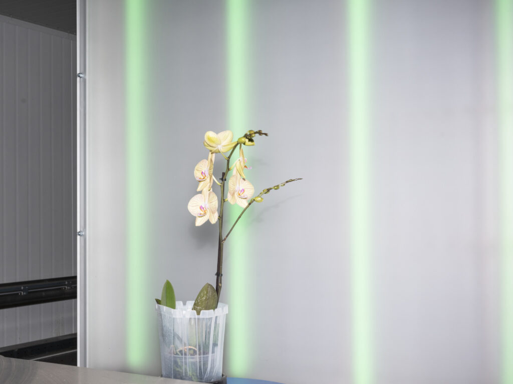 La mostra IMAGE CAPITAL la fotografia come tecnologia dellinformazione La mostra IMAGE CAPITAL la fotografia come tecnologia dellinformazione 1