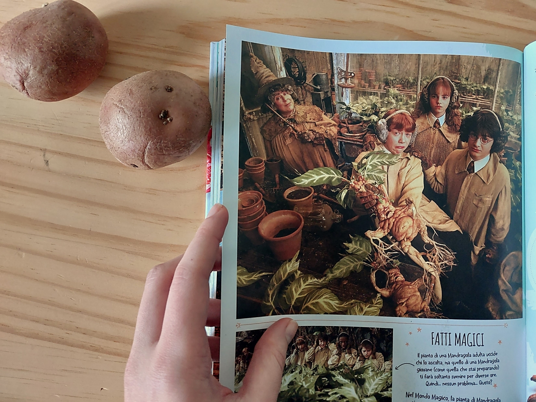 Mandragole, patate e altre piante mortali