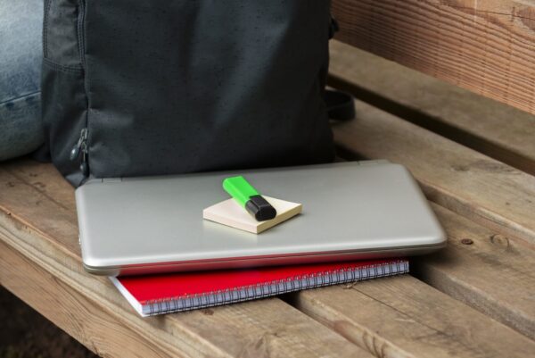 Prospettive sulla didattica digitale. La seconda parte dellintervista con Roberto Maragliano