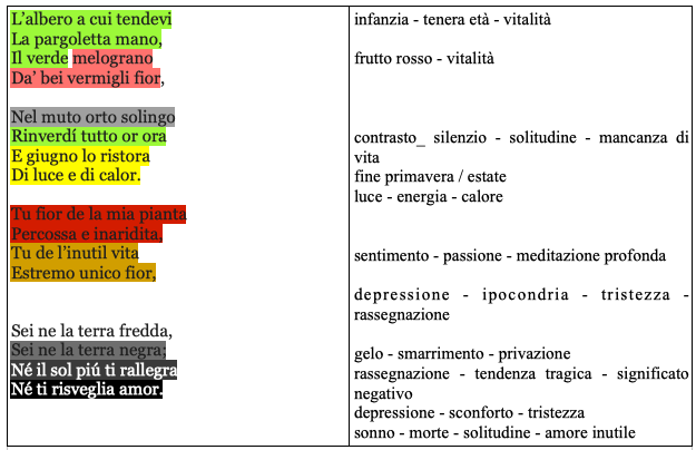 SAN MARTINO colorato