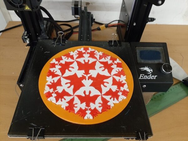 Tecnologia e Arte le Metamorfosi di Escher in 3D