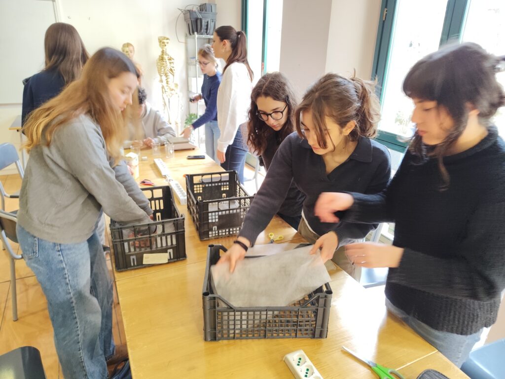 Un meraviglioso insuccesso. Un esperimento sullevoluzione. Immagine fornita dallautore Giovanni Nicotra