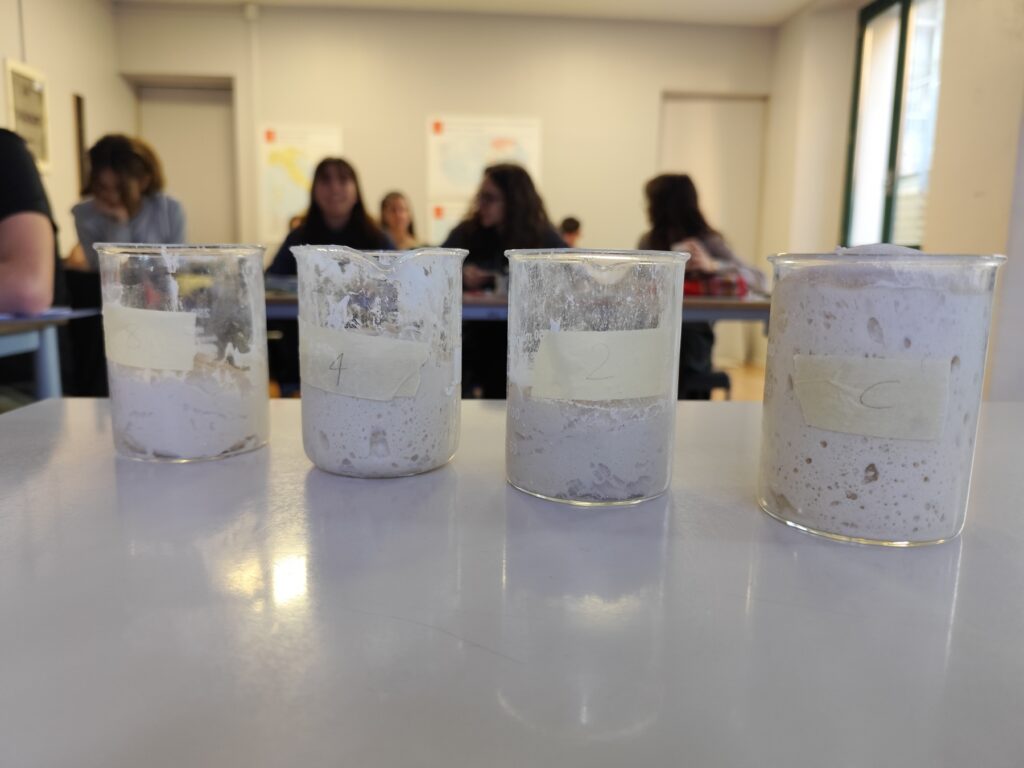 Un meraviglioso insuccesso. Un esperimento sullevoluzione. Immagine fornita dallautore giovanni Nicotra 3