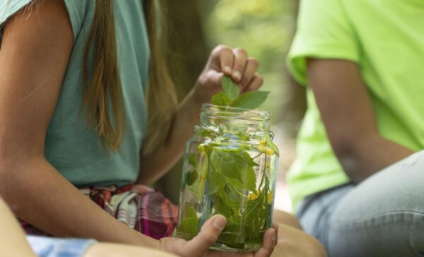 L’Educazione ecologista di “A Sud”: oltre l’eco-ansia