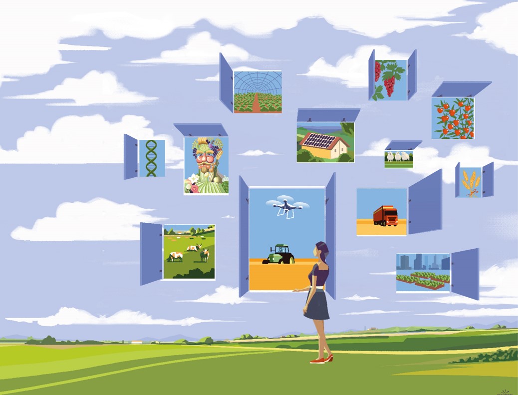 illustrazione del festival