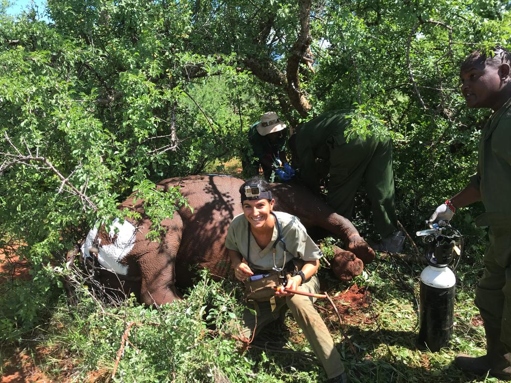 Gli eventi conclusivi di "La scuola è..." per un futuro sostenibile e per la Giornata Mondiale della Terra