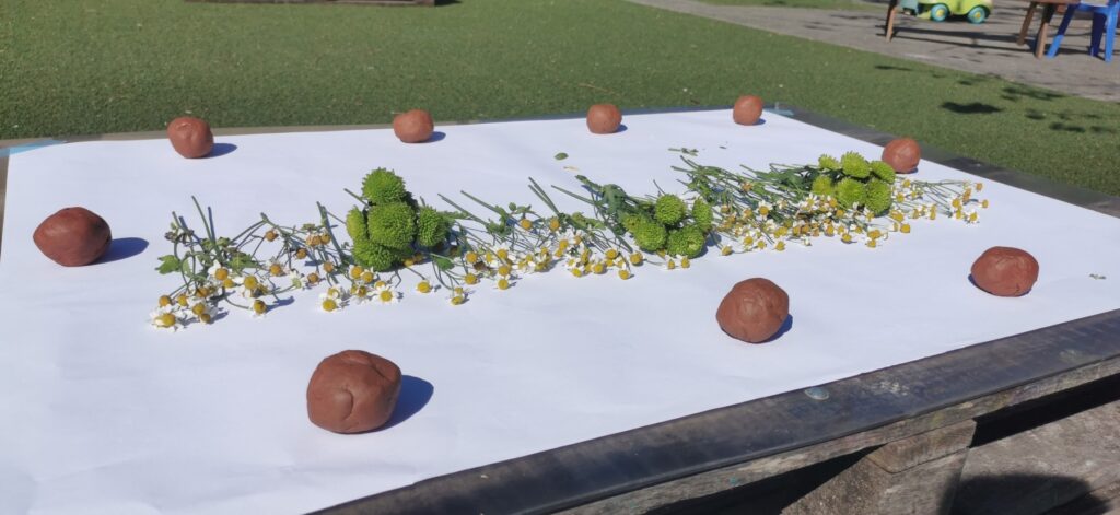 img 20240416 103133 6673cbfcb79f3