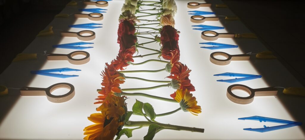 img 20240507 101758 6673cbfb33bc1