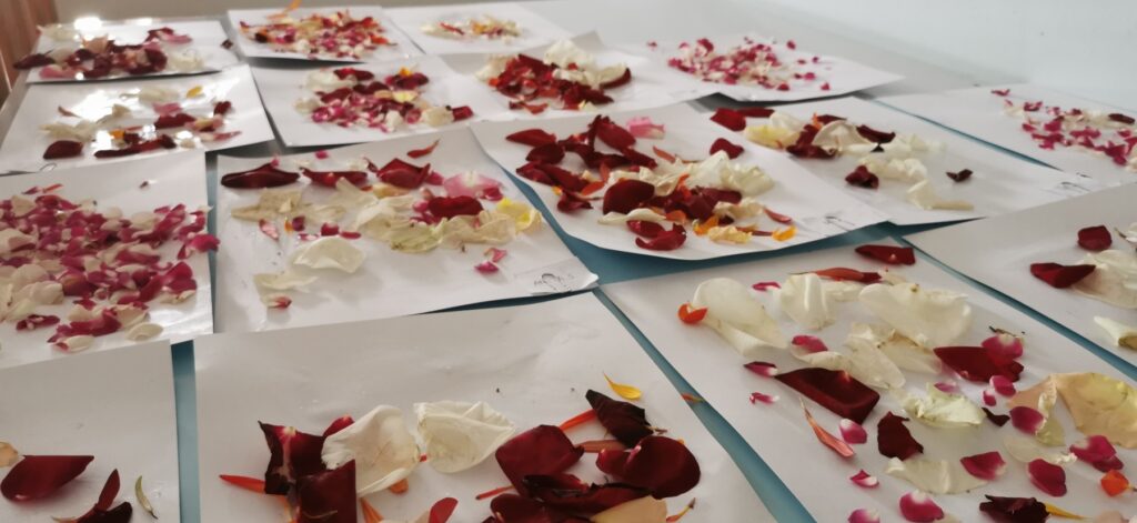 img 20240507 141615 6673cce04ccf6