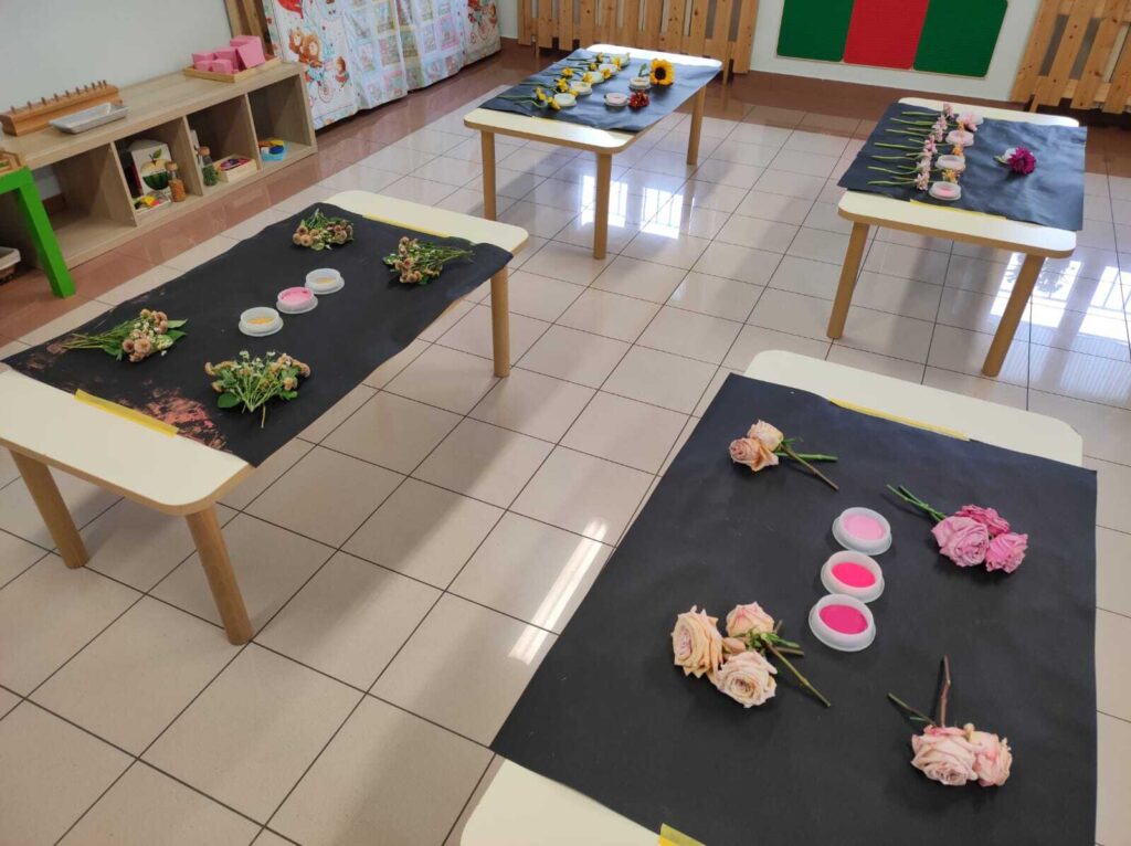 img 20240514 wa0007 6673cc03b660b