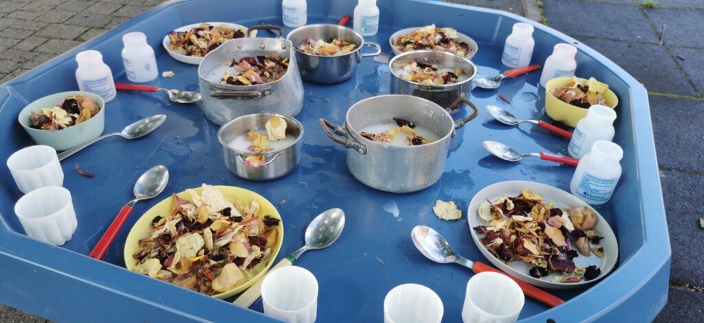 img 20240528 100802 6673cc02bfd6a