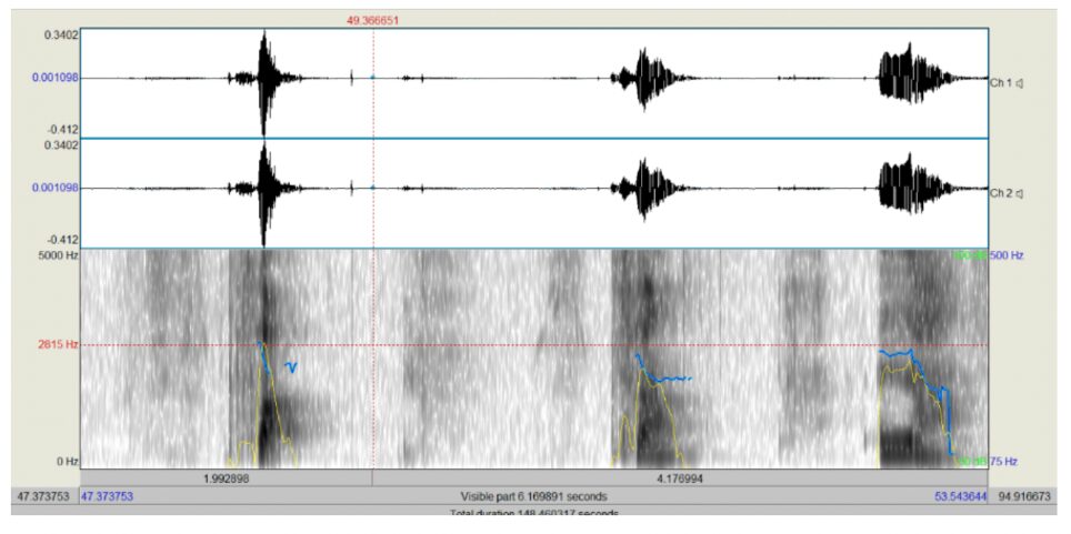 L’uso del chaining per insegnare le parole a bambini autistici minimally-verbal img humanitas 1 img humanitas 1