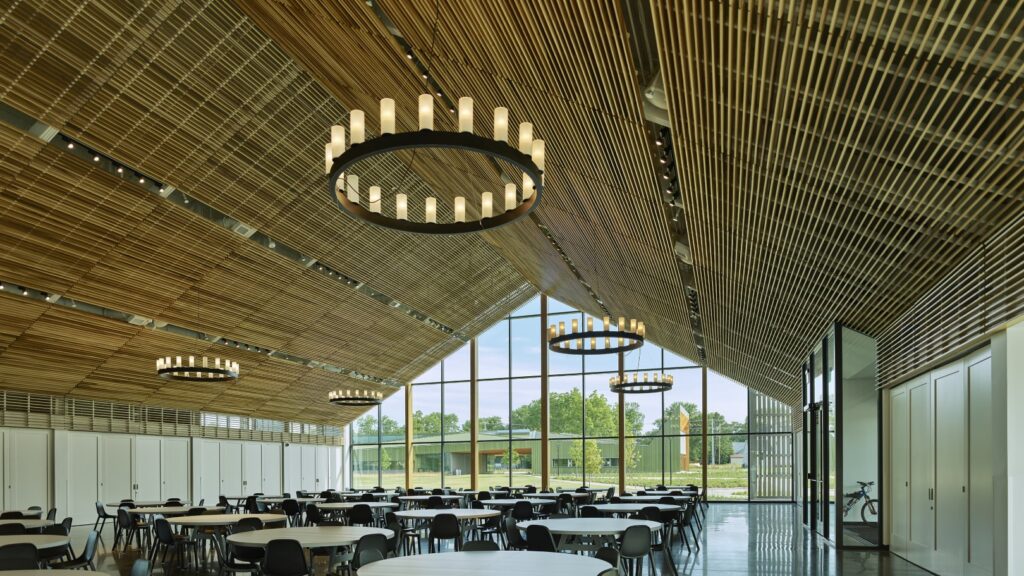 thaden 2 60feb8d53d5c1