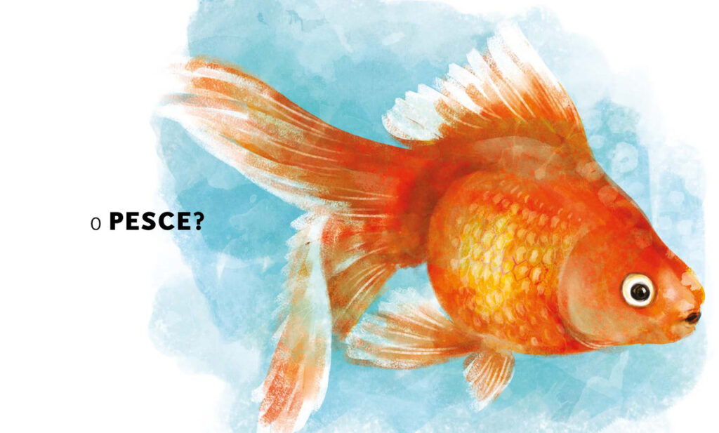 "What is it?": un viaggio nel regno dell'immaginazione what is it interno p 20 645a362c10657 what is it interno p 20 645a362c10657